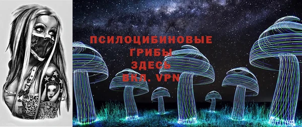 дмт Алзамай