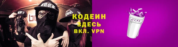 крисы Абаза