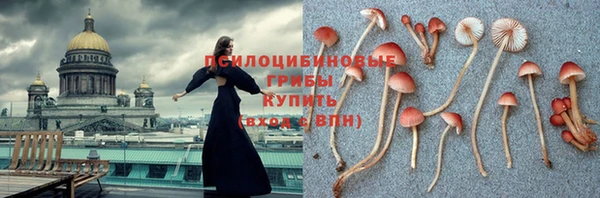 дмт Алексеевка