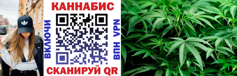 Канабис ГИДРОПОН Касимов